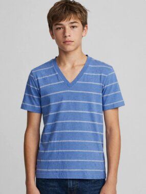 Heritage 1981 Blue Striped V-Neck T-Shirt Mens Small S/P 90% Cotton Y2K Casual